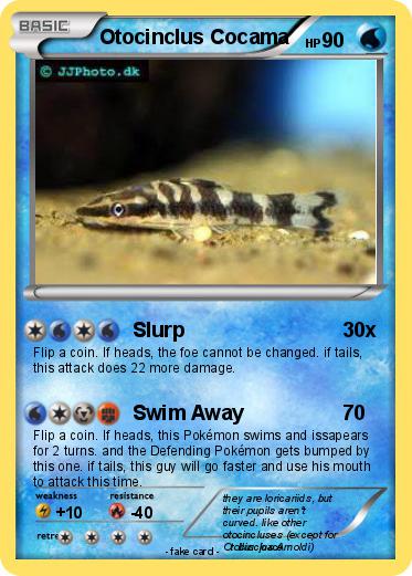 Pokemon Otocinclus Cocama