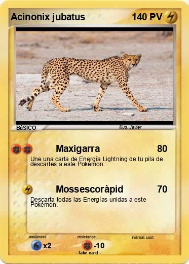 Pokemon Acinonix jubatus