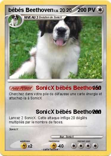 Pokemon bébés Beethoven
