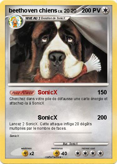 Pokemon beethoven chiens