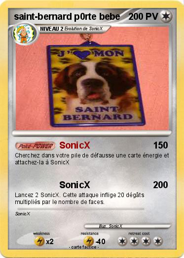Pokemon saint-bernard p0rte bebe