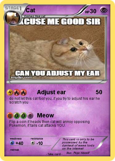 Pokemon Cat