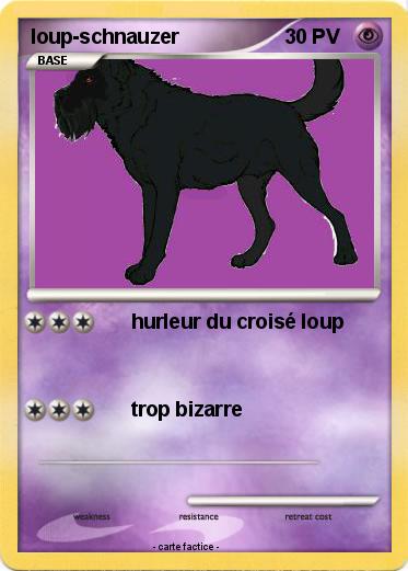 Pokemon loup-schnauzer