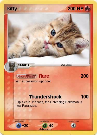 Pokemon kitty