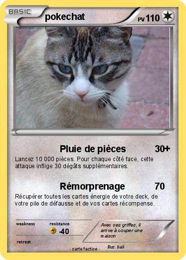 Pokemon pokechat