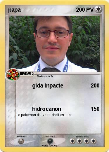 Pokemon papa