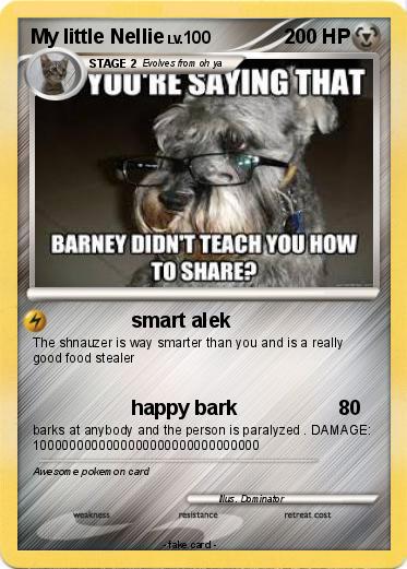 Pokemon My little Nellie