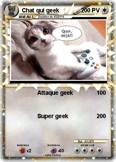 Pokemon Chat qui geek