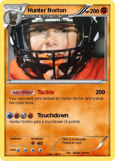 Pokemon Hunter Norton