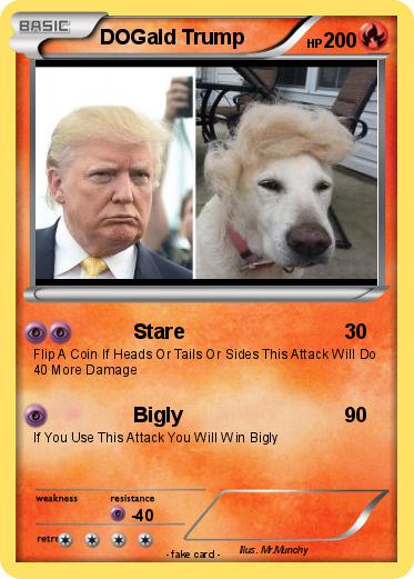 Pokemon DOGald Trump