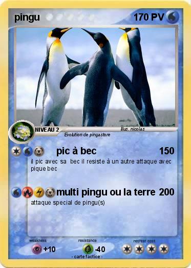 Pokemon pingu