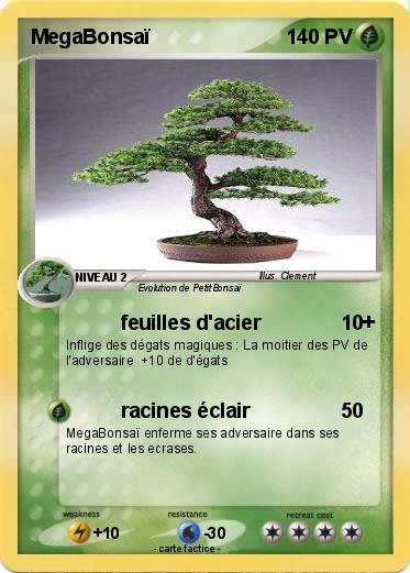 Pokemon MegaBonsaï