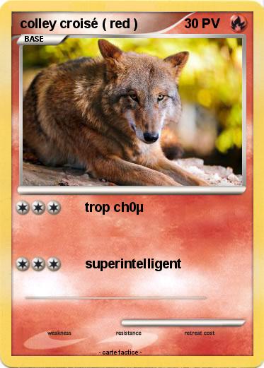 Pokemon colley croisé ( red )