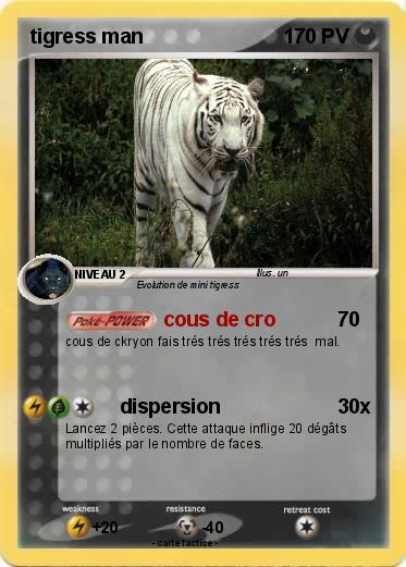 Pokemon tigress man