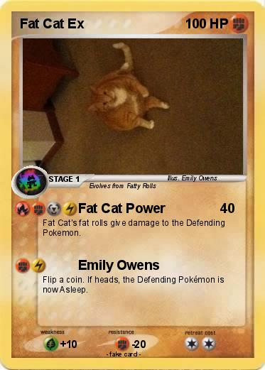 Pokemon Fat Cat Ex