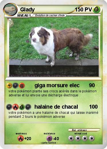 Pokemon Glady