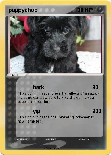 Pokemon puppychoo