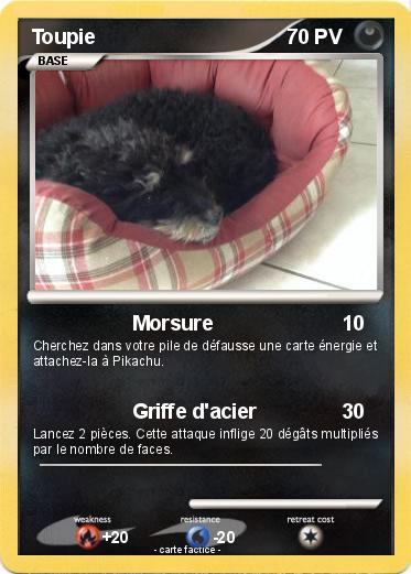 Pokemon Toupie