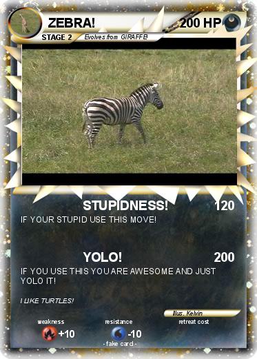 Pokemon ZEBRA!