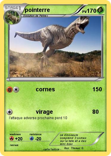 Pokemon pointerre