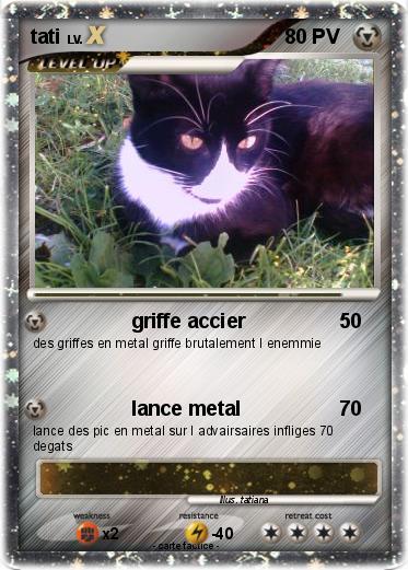 Pokemon tati