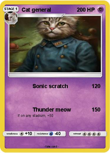 Pokemon Cat general
