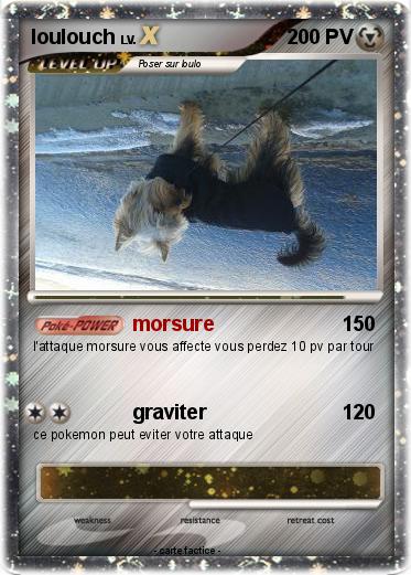 Pokemon loulouch