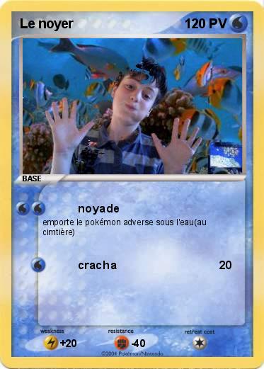 Pokemon Le noyer