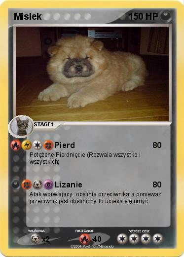 Pokemon Misiek