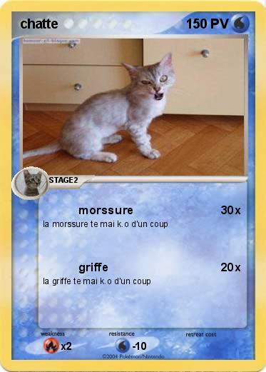 Pokemon chatte