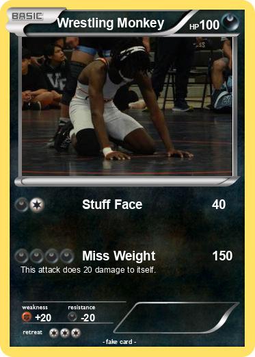 Pokemon Wrestling Monkey