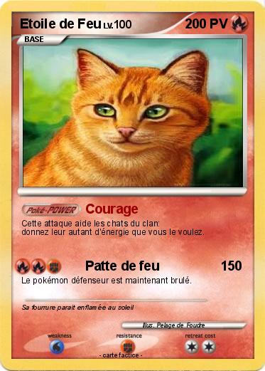 Pokemon Etoile de Feu