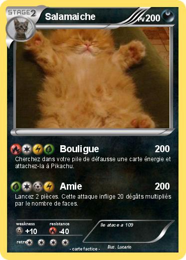 Pokemon Salamaiche