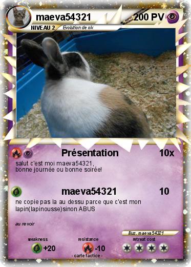Pokemon maeva54321