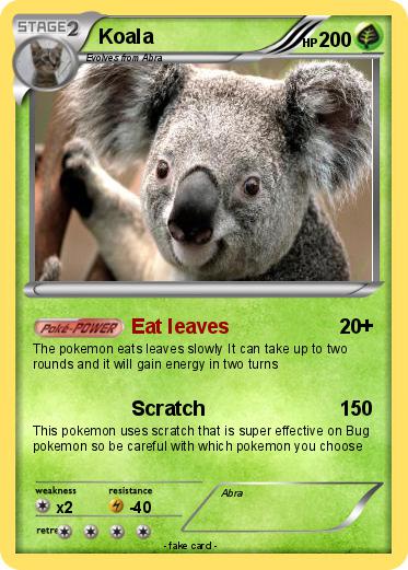 Pokemon Koala