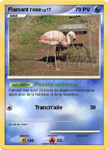 Pokemon Flamant rose