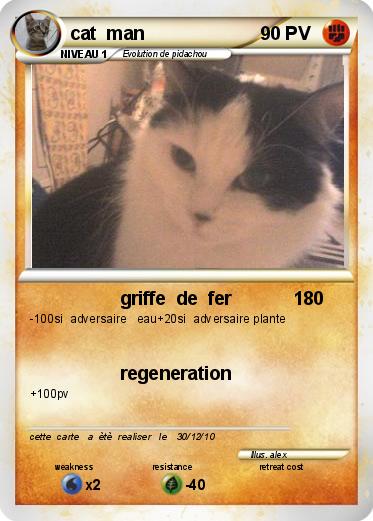 Pokemon cat  man