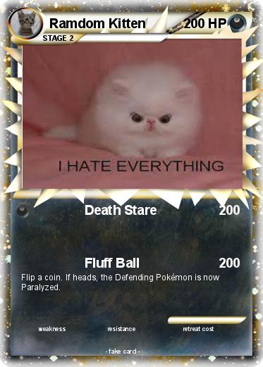 Pokemon Ramdom Kitten