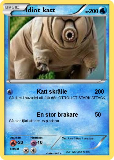 Pokemon Idiot katt