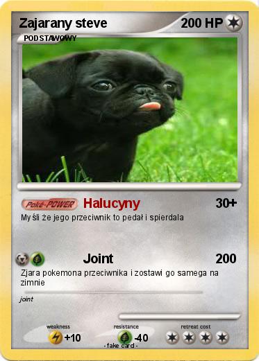 Pokemon Zajarany steve