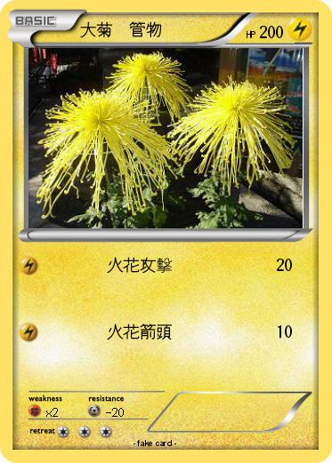 Pokemon 大菊　管物