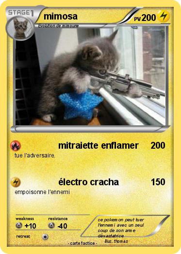 Pokemon mimosa