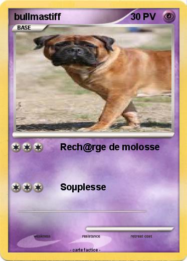 Pokemon bullmastiff