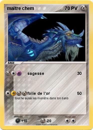Pokemon maitre chem
