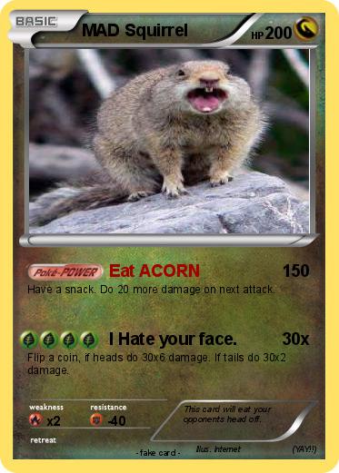 Pokemon MAD Squirrel