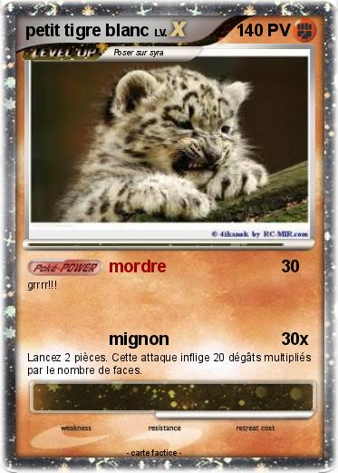 Pokemon petit tigre blanc