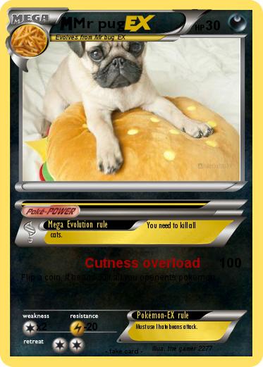 Pokemon Mr pug