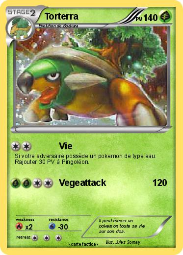 Pokemon Torterra