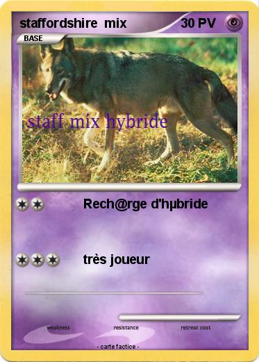 Pokemon staffordshire  mix