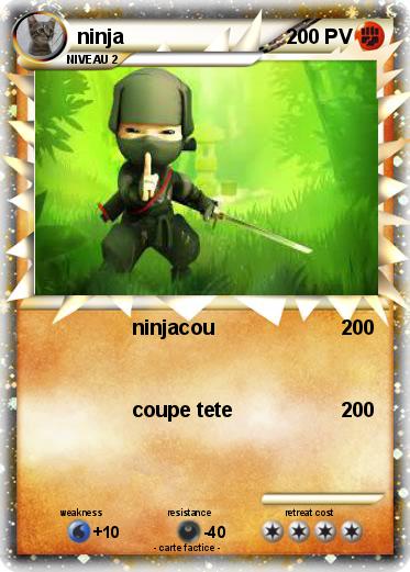 Pokemon ninja